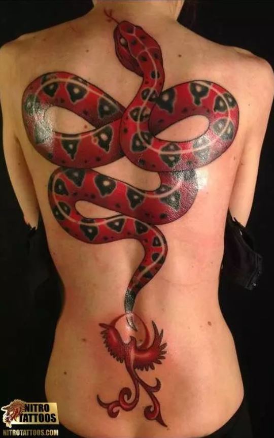     Snake and phoenix tattoo 