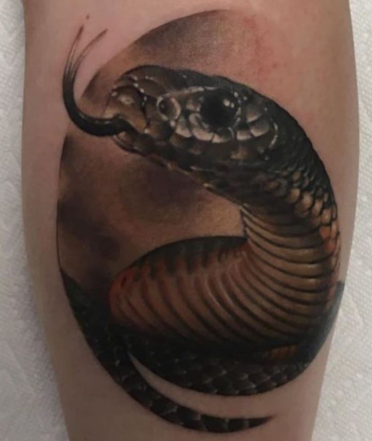 Framed snake tattoo